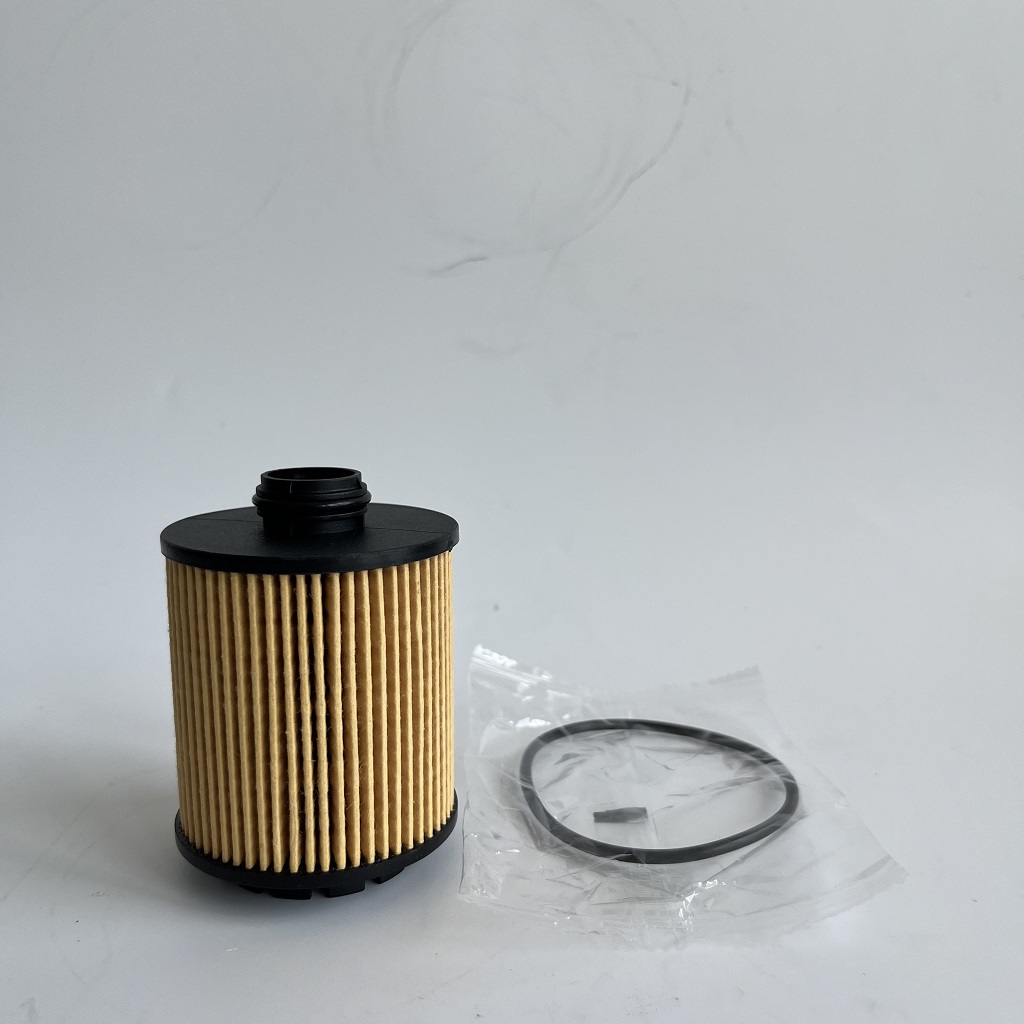 HU7043Z 1612565980 Нефтяной фильтр для PetGeot